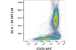 Surface staining of CD35 in human peripheral blood with anti-CD35 (E11) APC. (CD35 anticorps  (APC))