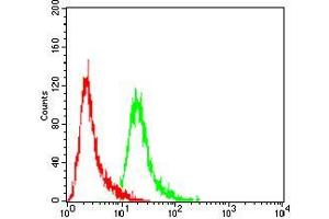Flow cytometric analysis of Hela cells using EZH2 mouse mAb (green) and negative control (red).