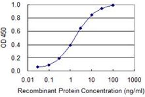 anti-Translocation Associated Membrane Protein 2 (TRAM2) (AA 310-369) antibody