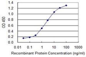 Detection limit for recombinant GST tagged HS6ST1 is 0.
