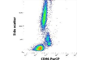 Flow cytometry surface staining pattern of human peripheral whole blood stained using anti-human CD86 (Bu63) PerCP antibody (10 μL reagent / 100 μL of peripheral whole blood).