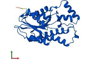AlphaFold protein structure predicition of Mouse Recombinant Spr Protein, UniprotID Q64105