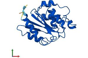 AlphaFold protein structure predicition of Mouse Recombinant Rbbp9 Protein, UniprotID O88851