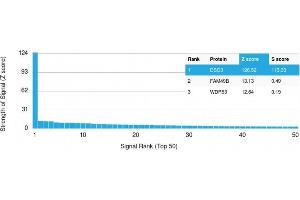 Analysis of Protein Array containing more than 19,000 full-length human proteins using Desmoglein-3 Mouse Monoclonal Antibody (DSG3/2796) Z- and S- Score: The Z-score represents the strength of a signal that a monoclonal antibody (Monoclonal Antibody) (in combination with a fluorescently-tagged anti-IgG secondary antibody) produces when binding to a particular protein on the HuProtTM array.