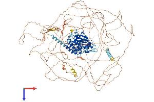 AlphaFold protein structure predicition of Mouse Recombinant Aatk Protein, UniprotID Q80YE4