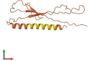 AlphaFold protein structure predicition of Human Recombinant ERC2-IT1 Protein, UniprotID O76042