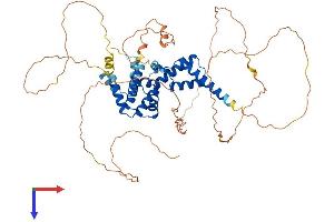 AlphaFold protein structure predicition of Mouse Recombinant Hnf1b Protein, UniprotID P27889