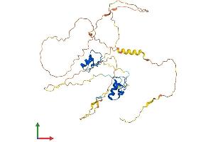 AlphaFold protein structure predicition of Human Recombinant GATA1 Protein, UniprotID P15976