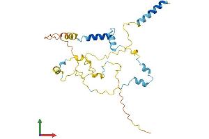 AlphaFold protein structure predicition of Human Recombinant MYOZ2 Protein, UniprotID Q9NPC6