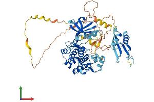 AlphaFold protein structure predicition of Mouse Recombinant Stk39 Protein, UniprotID Q9Z1W9