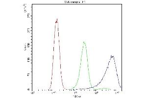 Flow Cytometry analysis of A431 cells using anti-Calpastatin antibody (ABIN4886503). (Calpastatin anticorps  (Middle Region))