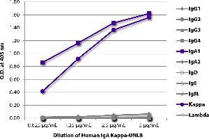 ELISA plate was coated with serially diluted Human IgA Kappa-UNLB and quantified.