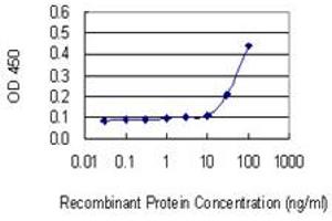 Detection limit for recombinant GST tagged RPL18A is 10 ng/ml as a capture antibody. (RPL18A anticorps  (AA 77-176))
