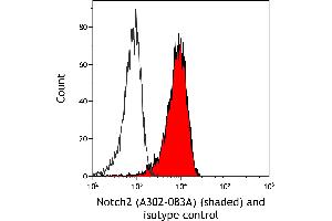Flow Cytometry (FACS) image for anti-Notch 2 (NOTCH2) (AA 2250-2300) antibody (ABIN7454804) (NOTCH2 anticorps  (AA 2250-2300))