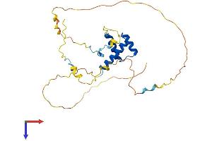AlphaFold protein structure predicition of Mouse Recombinant Hoxc4 Protein, UniprotID Q08624