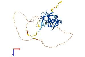 AlphaFold protein structure predicition of Human Recombinant PARD6A Protein, UniprotID Q9NPB6