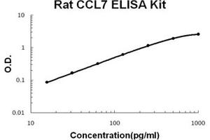 Rat CCL7/MCP-3 PicoKine ELISA Kit standard curve (CCL7 Kit ELISA)