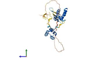 AlphaFold protein structure predicition of Mouse Recombinant Pou6f1 Protein, UniprotID Q07916