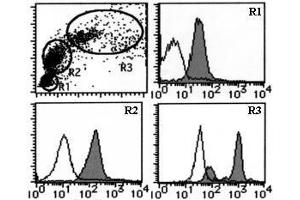 Flow Cytometry (FACS) image for anti-Solute Carrier Family 3 (Activators of Dibasic and Neutral Amino Acid Transport), Member 2 (SLC3A2) antibody (ABIN1449273)