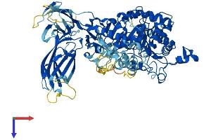 AlphaFold protein structure predicition of Mouse Recombinant Pla2g4b Protein, UniprotID P0C871