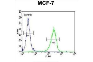 Flow Cytometry (FACS) image for anti-CO027 antibody (ABIN2995852) (CO027 anticorps)