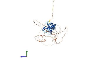 AlphaFold protein structure predicition of Human Recombinant TBX5 Protein, UniprotID Q99593