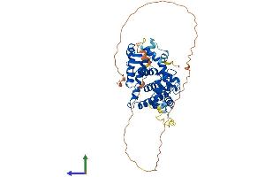 AlphaFold protein structure predicition of Human Recombinant RXRA Protein, UniprotID P19793