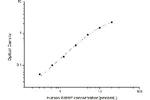 Typical standard curve (Mesothelin Related Peptide Kit ELISA)