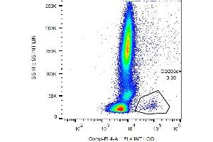 Flow cytometry analysis of IgE-activated peripheral blood stained with anti-human CD63 (MEM-259) APC.