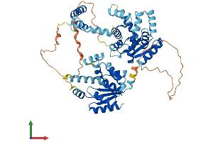 AlphaFold protein structure predicition of Mouse Recombinant Ak5 Protein, UniprotID Q920P5