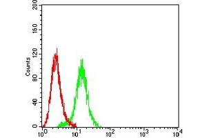 Flow cytometric analysis of Hela cells using IGF2BP3 mouse mAb (green) and negative control (red).