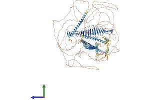 AlphaFold protein structure predicition of Human Recombinant CENPJ Protein, UniprotID Q9HC77