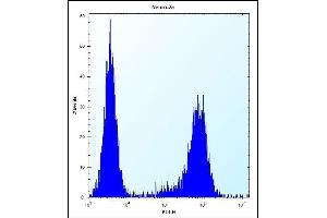 P3K15 Antibody (N-term) (ABIN656257 and ABIN2845573) flow cytometric analysis of Neuro-2a cells (right histogram) compared to a negative control cell (left histogram).