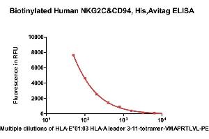 NKG2C & CD94 (AA 94-231) (Active) protein (His tag,AVI tag,Biotin)