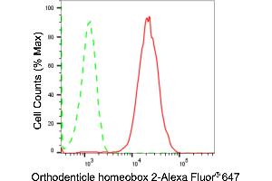 Flow cytometric analysis of Orthodenticle homeobox 2 expression in HAP-1 cells using Orthodenticle homeobox 2 antibody (ABIN7799709), 1:2,000).