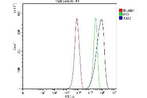 Flow Cytometry analysis of RAW264.