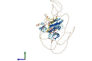 AlphaFold protein structure predicition of Human Recombinant MAP3K11 Protein, UniprotID Q16584