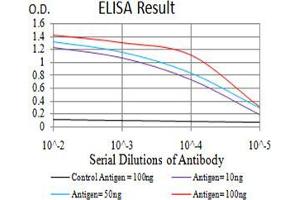 Black line: Control Antigen (100 ng);Purple line: Antigen (10ng); Blue line: Antigen (50 ng); Red line:Antigen (100 ng) (NeuN anticorps  (AA 1-140))
