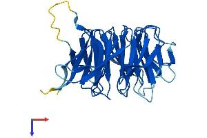 AlphaFold protein structure predicition of Mouse Recombinant Rack1 Protein, UniprotID P68040