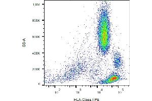Flow cytometry analysis (surface staining) of human peripheral blood cells with anti-HLA-class I (W6/32) PE. (MICA anticorps  (PE))