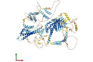 AlphaFold protein structure predicition of Human Recombinant SIN3B Protein, UniprotID O75182