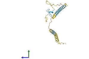 AlphaFold protein structure predicition of Human Recombinant SREK1IP1 Protein, UniprotID Q8N9Q2