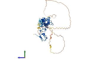 AlphaFold protein structure predicition of Human Recombinant RNF34 Protein, UniprotID Q969K3
