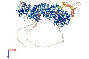 AlphaFold protein structure predicition of Human Recombinant PPP4R3A Protein, UniprotID Q6IN85
