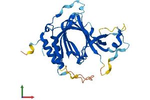 AlphaFold protein structure predicition of Human Recombinant ADO Protein, UniprotID Q96SZ5