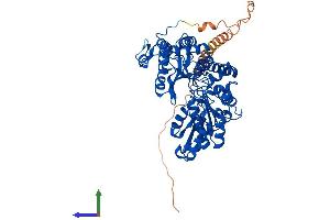AlphaFold protein structure predicition of Human Recombinant GAD1 Protein, UniprotID Q99259