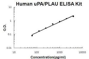 Human uPA/PLAU PicoKine ELISA Kit standard curve (PLAU Kit ELISA)
