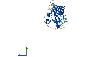 AlphaFold protein structure predicition of Mouse Recombinant Surf1 Protein, UniprotID P09925