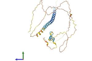 AlphaFold protein structure predicition of Human Recombinant PRR7 Protein, UniprotID Q8TB68