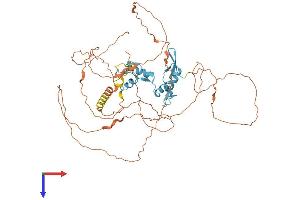 AlphaFold protein structure predicition of Human Recombinant ZNF683 Protein, UniprotID Q8IZ20